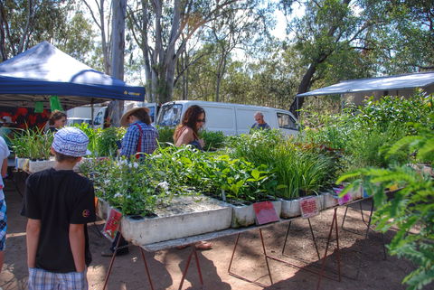 Fernvale Country Markets - Great Ocean Road Tourism 1