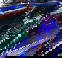 Glass Bottom Boat Tour - Great Ocean Road Tourism