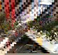 Grampians Wildflower Show - Great Ocean Road Tourism