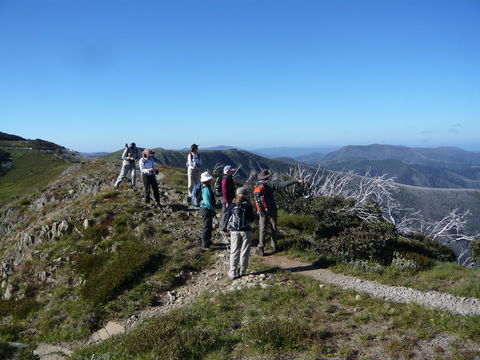 Hedonistic Hiking's Falls Creek To Hotham - Great Ocean Road Tourism 1