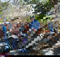 Herring Island Summer Arts Festival - Great Ocean Road Tourism