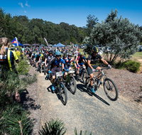 JetBlack Wild Wombat MTB Challenge - Great Ocean Road Tourism