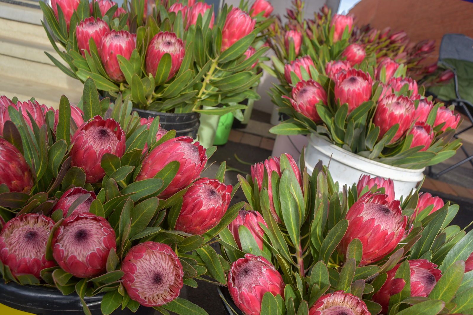 Eurongilly NSW Great Ocean Road Tourism