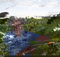 Kingsdale Wines - Cellar Door Wine Tastings - Great Ocean Road Tourism