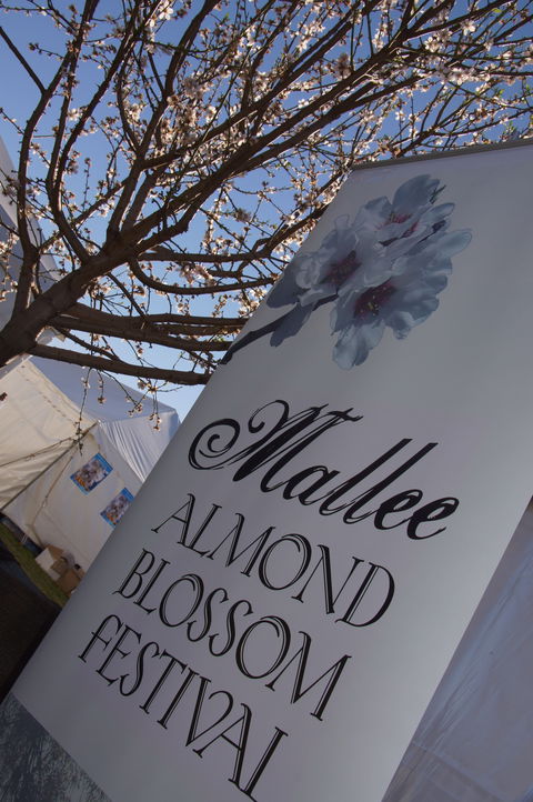 Mallee Almond Blossom Festival - Great Ocean Road Tourism 1