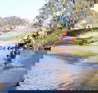 Mountain Man Tri Challenge - Great Ocean Road Tourism