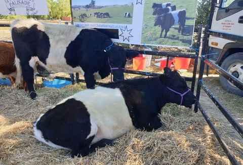 Murrumbateman Field Days - Great Ocean Road Tourism 2