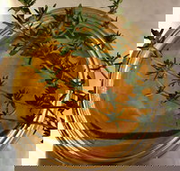 Online live streaming class DIY Skincare Products - Great Ocean Road Tourism