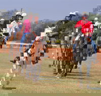 Pride of the West Races 2020 - Great Ocean Road Tourism