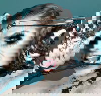 Reuben Kaye Comes Out to Play - Great Ocean Road Tourism