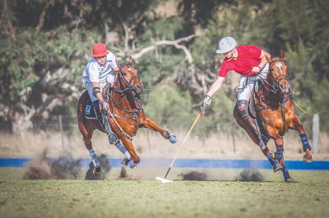 Scone Horse Festival - Great Ocean Road Tourism 1