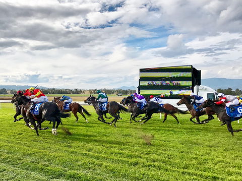 Scone Horse Festival - Great Ocean Road Tourism 2
