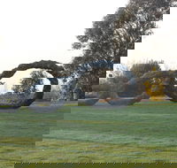 SculptureShaw - Great Ocean Road Tourism