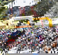 Snowies MTB Festival - Great Ocean Road Tourism