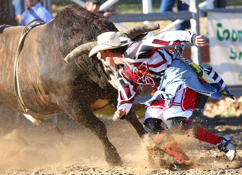 AgriWest Cooma Rodeo - Great Ocean Road Tourism 2