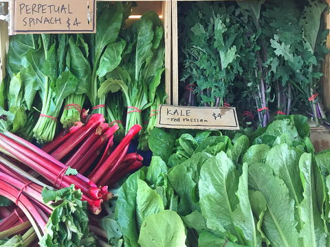 Albury Wodonga Farmers Market - Great Ocean Road Tourism 0
