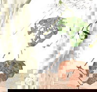 Artistic Endeavour - Great Ocean Road Tourism