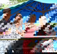 Bet 365 Caulfield Cup Day at Wodonga Race Course - Great Ocean Road Tourism