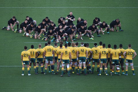Bledisloe Cup: Qantas Wallabies Versus All Blacks - Great Ocean Road Tourism 0
