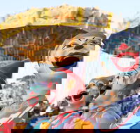 Campbelltown City Festival of Fisher's Ghost