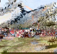 Coffs Harbour International Buskers and Comedy Festival - Great Ocean Road Tourism