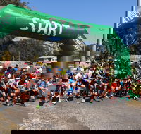 Coffs Harbour Running Festival - Great Ocean Road Tourism