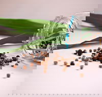 Cooking with Australian Indigenous Spices cooking class - Great Ocean Road Tourism