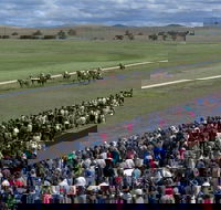 Cooma Sundowners Cup - Great Ocean Road Tourism