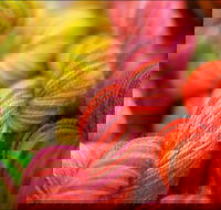 Creative Fibre - Great Ocean Road Tourism