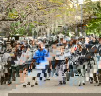 Diabetes Australia Walk to Work Day-Sydney - Great Ocean Road Tourism