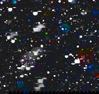 Eclectic by Murray Conservatorium - Great Ocean Road Tourism