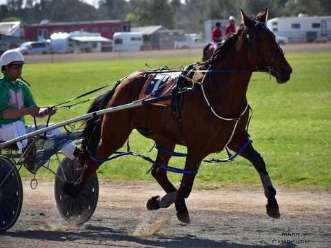 Forbes Show - Great Ocean Road Tourism 0