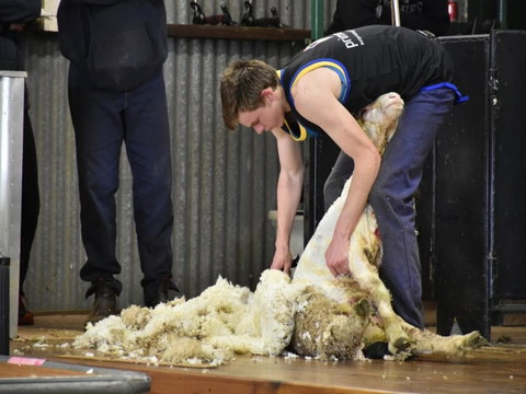 Forbes Show - Great Ocean Road Tourism 1