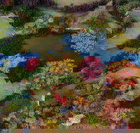 Glenrock Gardens Open Garden - Great Ocean Road Tourism