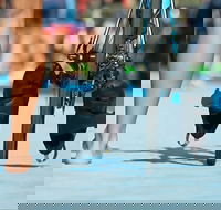 Gold Coast Triathlon Training - Great Ocean Road Tourism