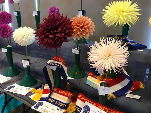 Kiama Show - Great Ocean Road Tourism 2
