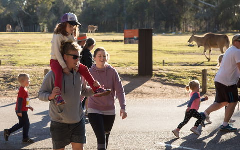 MAAS Group Dubbo Stampede Running Festival - Great Ocean Road Tourism 1