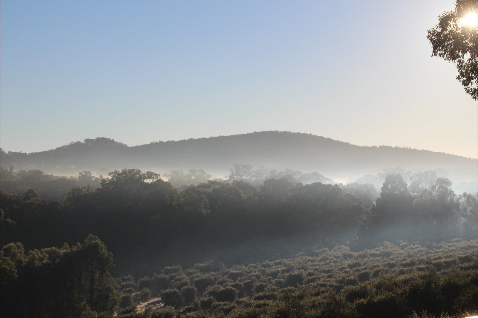 Mullamuddy NSW Great Ocean Road Tourism