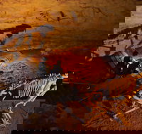 Naracoorte World Heritage Festival and Run - Great Ocean Road Tourism