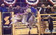 Patches Asphalt Queanbeyan Rodeo - thumb 1