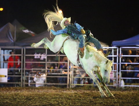 Patches Asphalt Queanbeyan Rodeo - Great Ocean Road Tourism 2