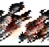 RAILED by Head First Acrobats - Great Ocean Road Tourism