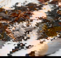 Red Hot Chilli Pepper Spice Blending Class - Great Ocean Road Tourism