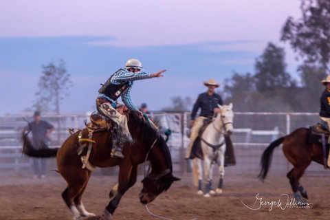 Walgett Charity Bushman's Carnival Rodeo And Campdraft - Great Ocean Road Tourism 1