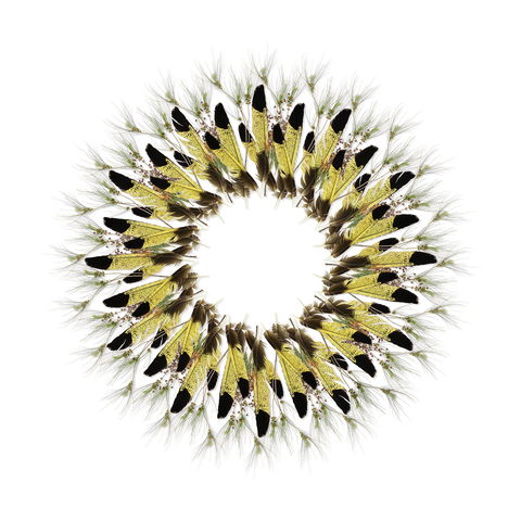 Adelaide Parklands Art Prize  Finalists Exhibition & Sale 2020 - Great Ocean Road Tourism 1