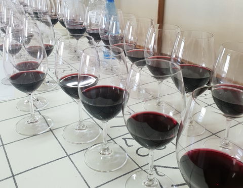 Australian Cool Climate Wine Show - Great Ocean Road Tourism 1