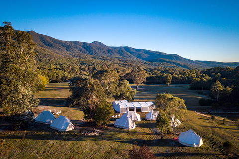 A Wild Night Out - Spring - Great Ocean Road Tourism 5