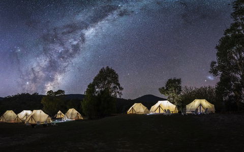 A Wild Night Out - Spring - Great Ocean Road Tourism 6