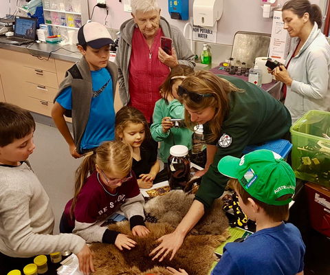 A Wild Night Out - Spring - Great Ocean Road Tourism 7