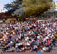 Bathurst Edgell Jog - Great Ocean Road Tourism